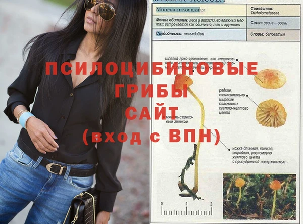 spice Магас
