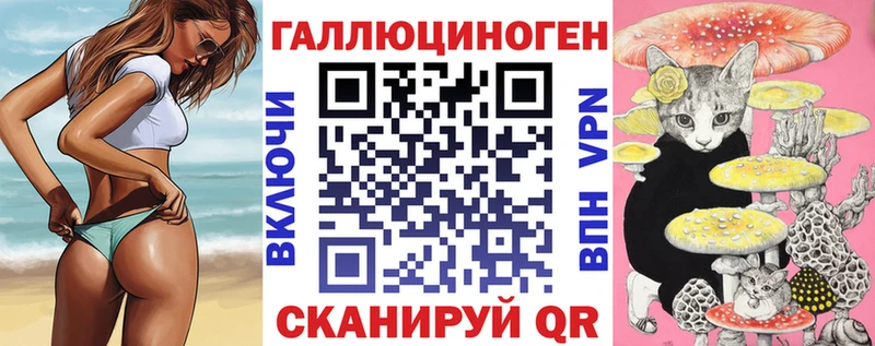 где найти наркотики Чита Псилоцибиновые грибы GOLDEN TEACHER